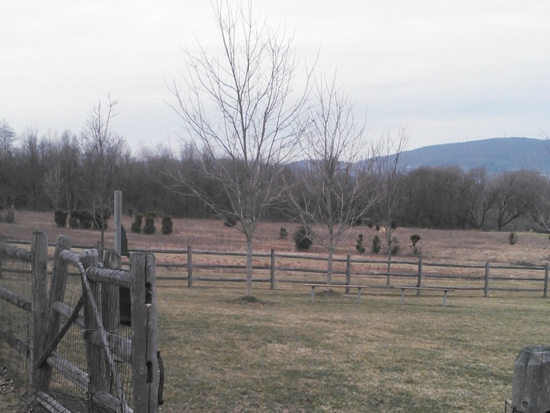 Polk Valley Dog Park