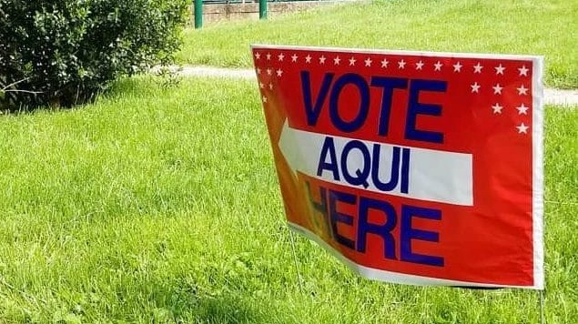 Voting Primary Election