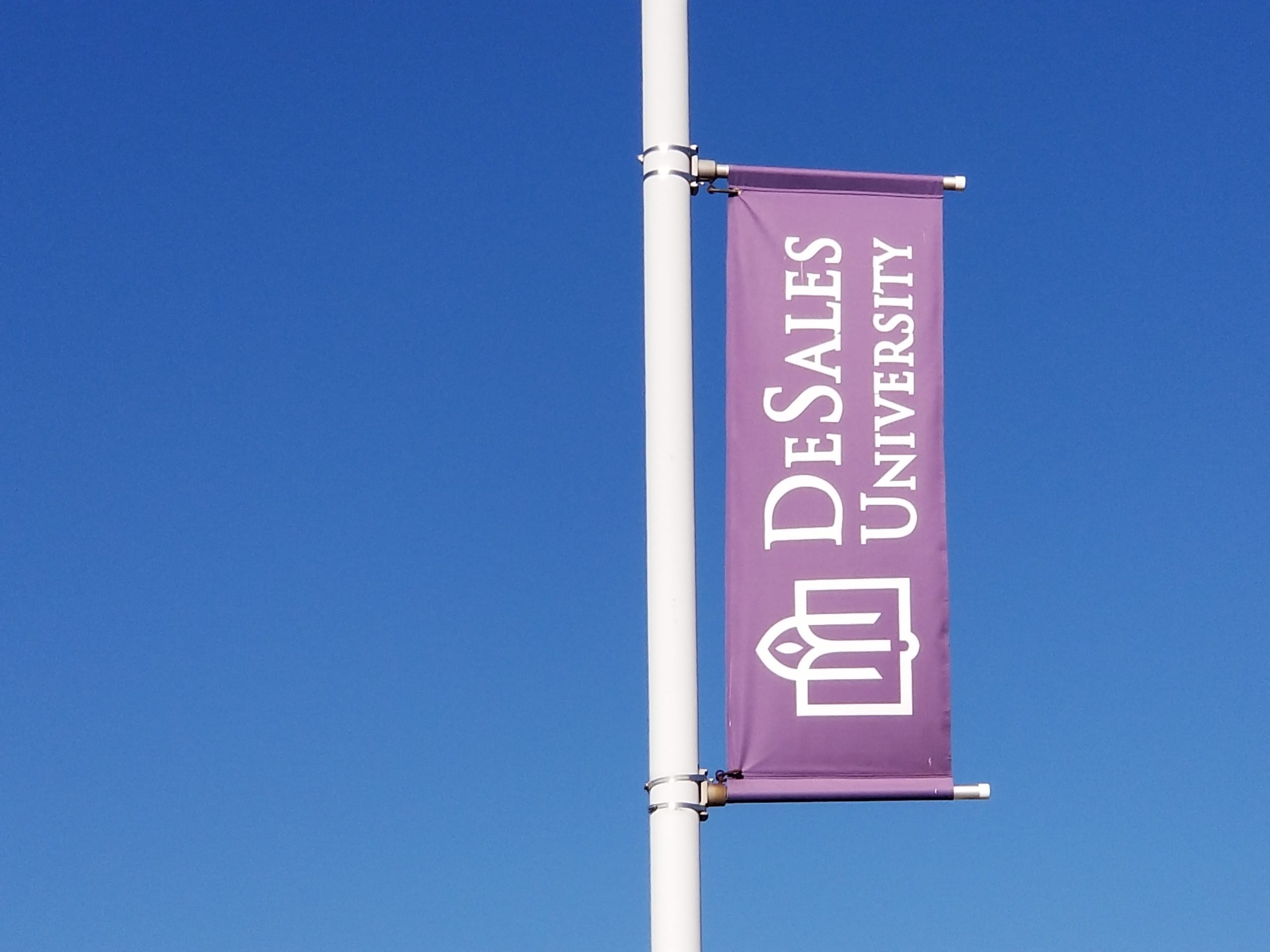 DeSales University
