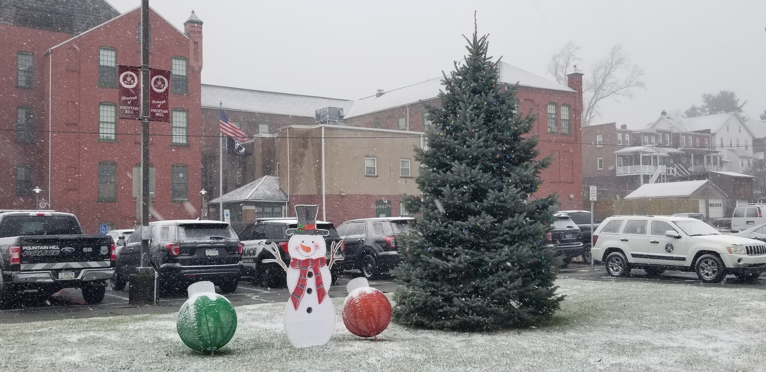 Fountain Hill Tree