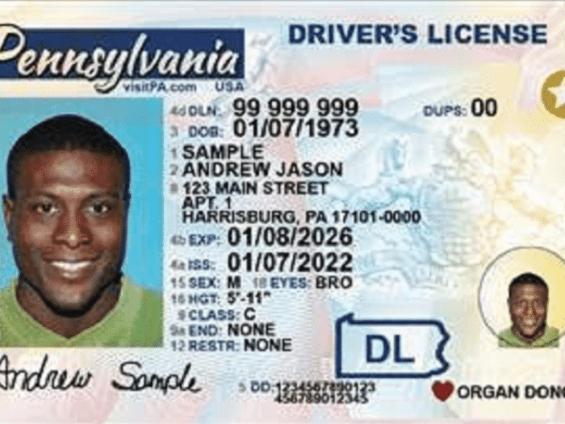 Penndot Driver License Sample
