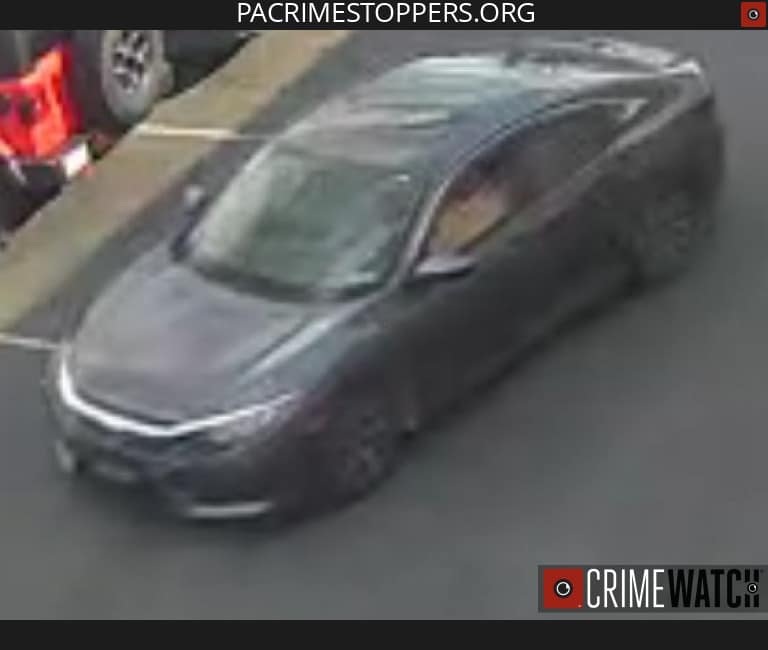 Target Theft Suspect