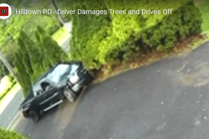 Driver Smashes Trees
