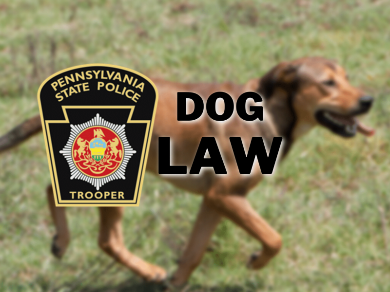 DOG LAW
