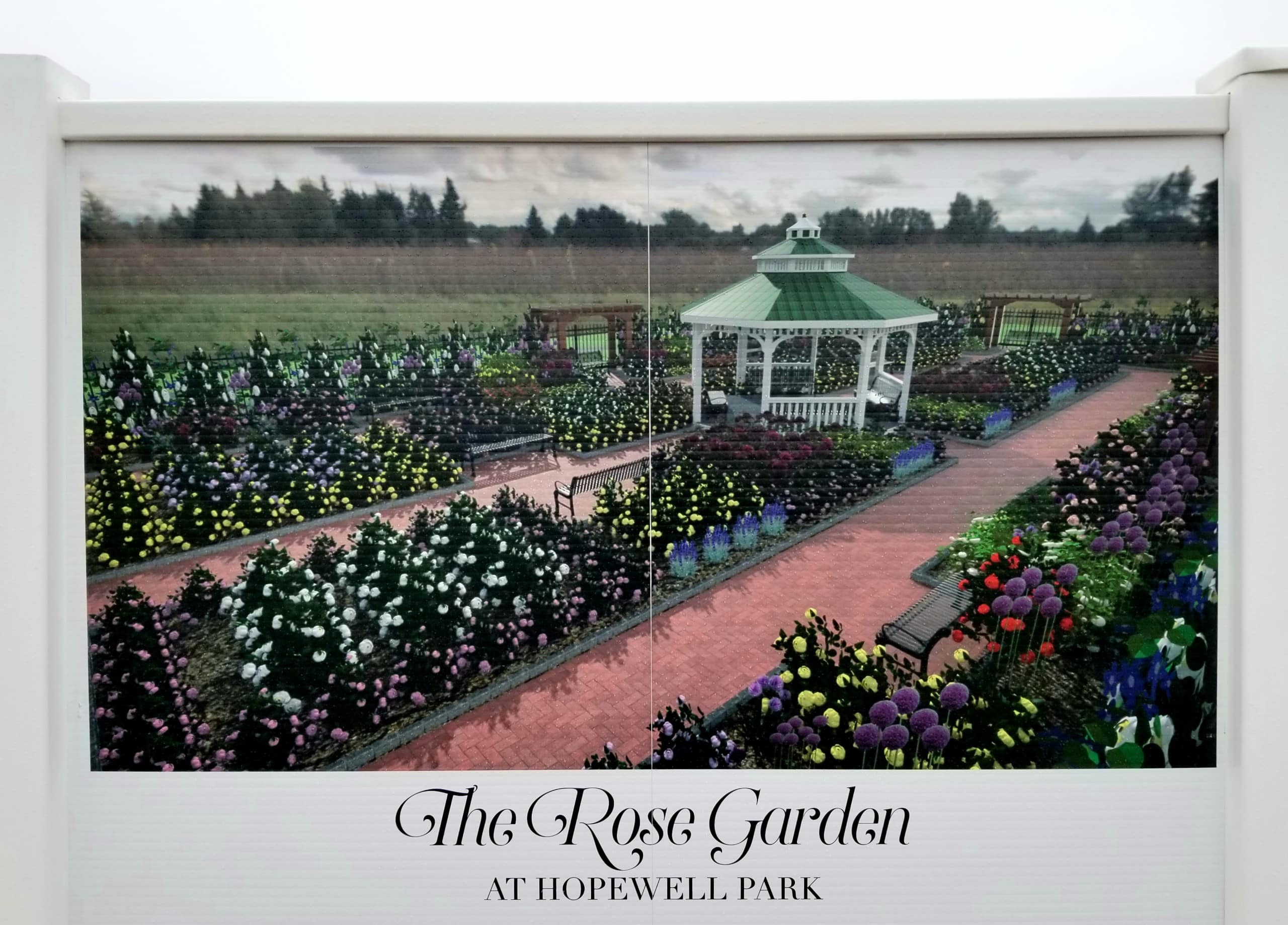 Rose Garden