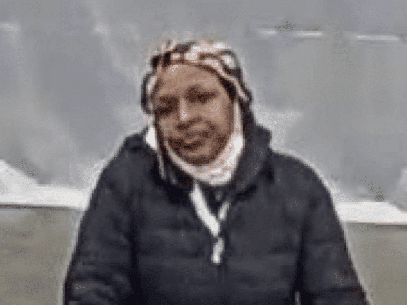 Theft Suspect