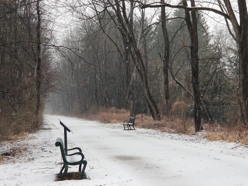 Snow