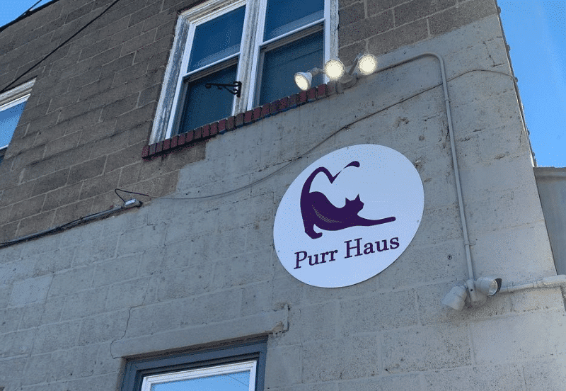 Purr Haus