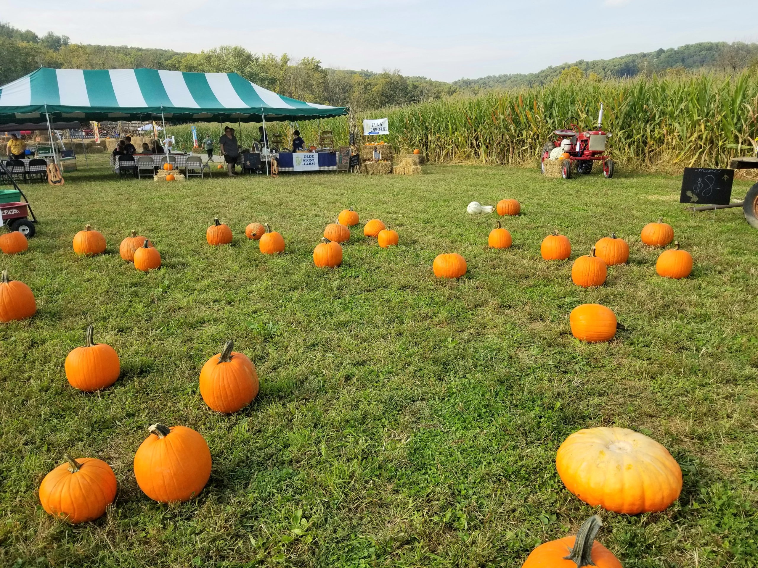 Halloween event