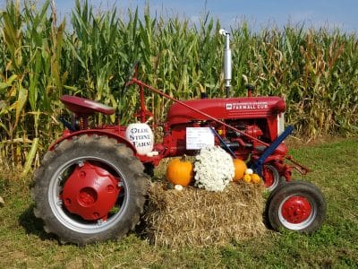Olde Stone Farm
