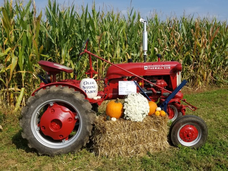 Olde Stone Farm