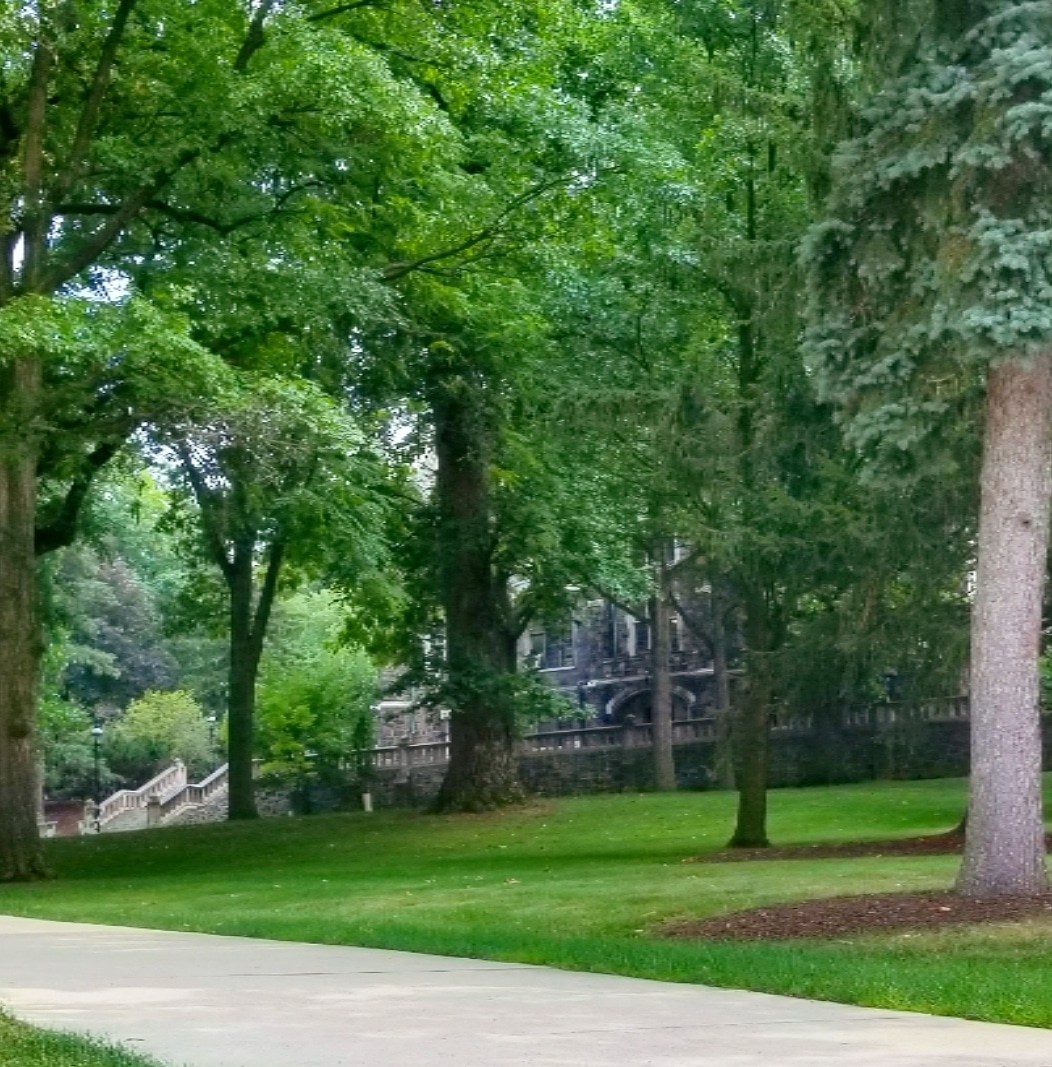 Lehigh COVID