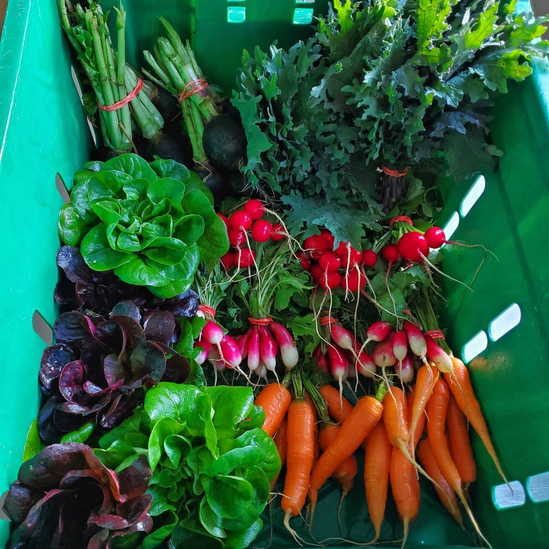 Blackbird Farms Farmers' market