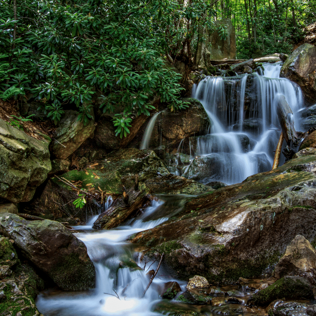 Hike Woods Lost Hellertown