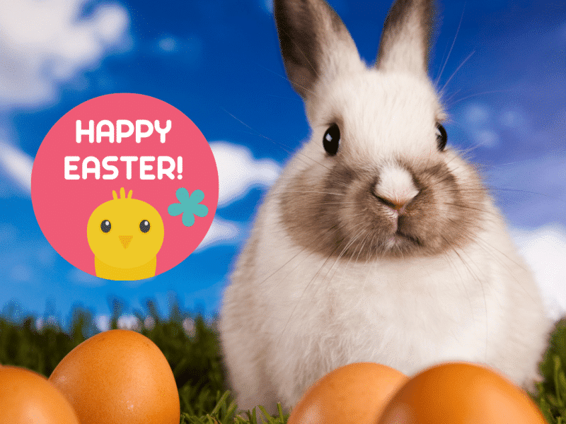 Easter Bunny