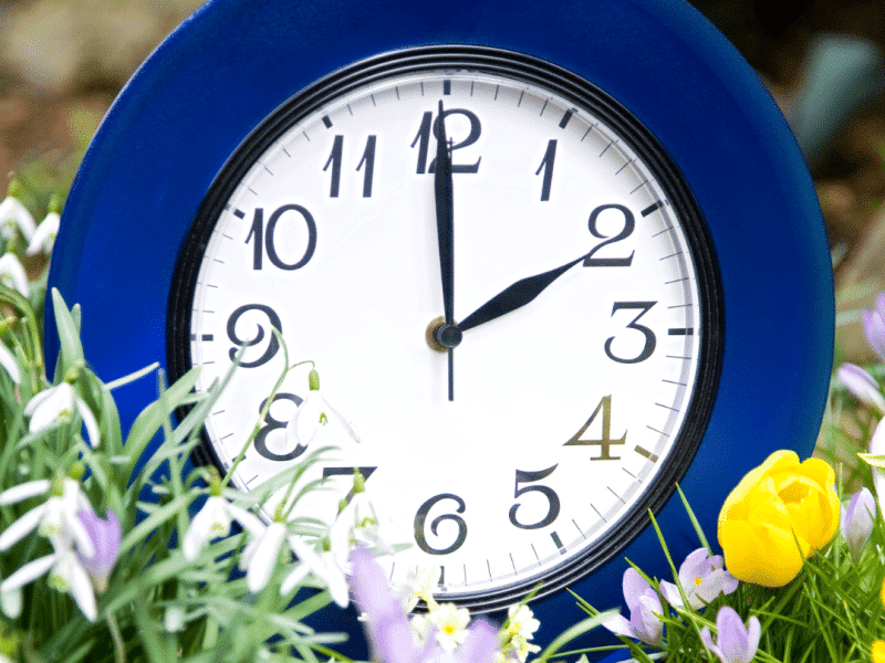 Clocks Spring Forward