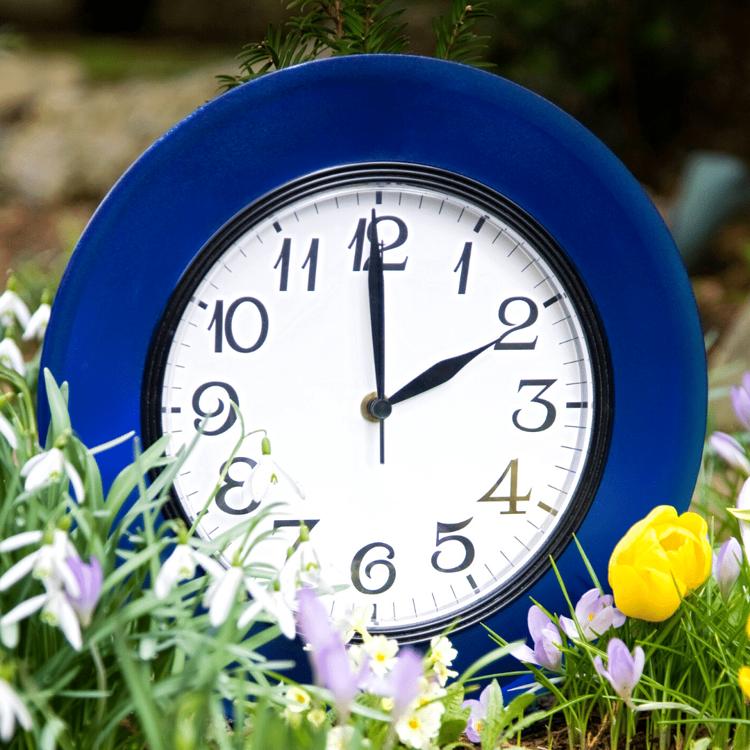 Clocks Spring Forward