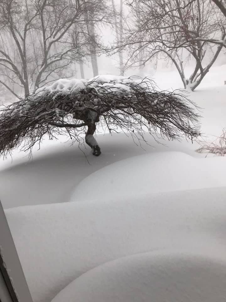 Steel City Snowstorm