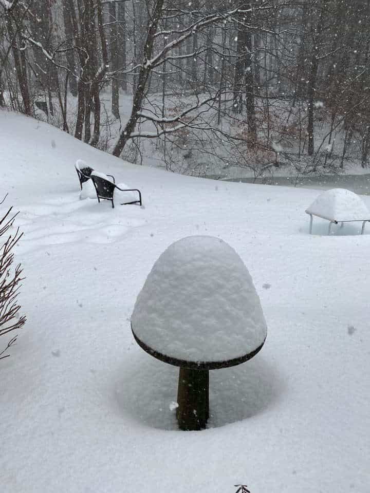 Snowstorm