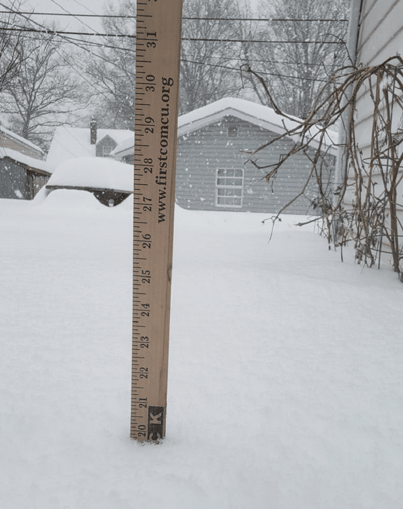 Snowstorm Ruler