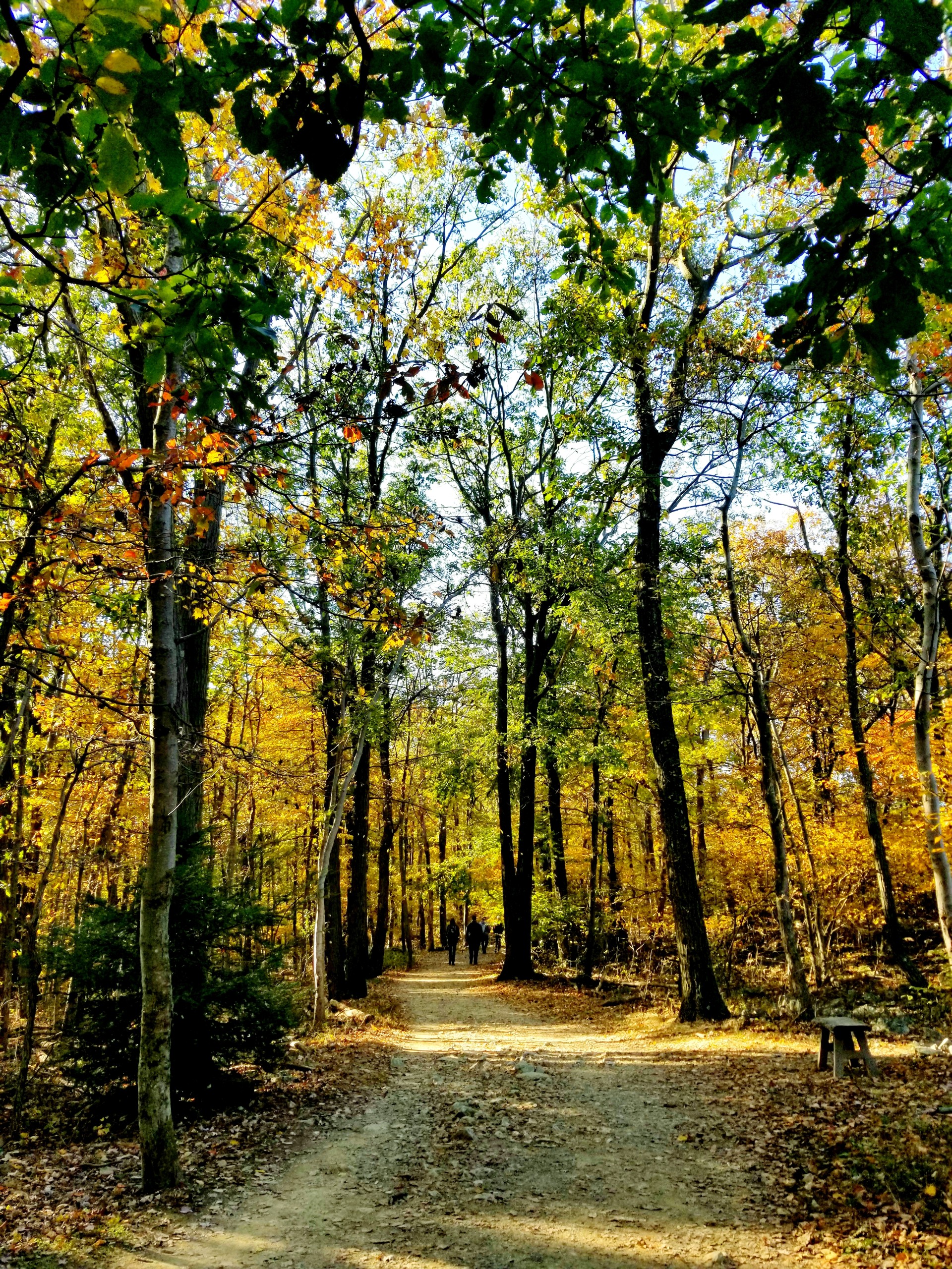 Hawk Mountain