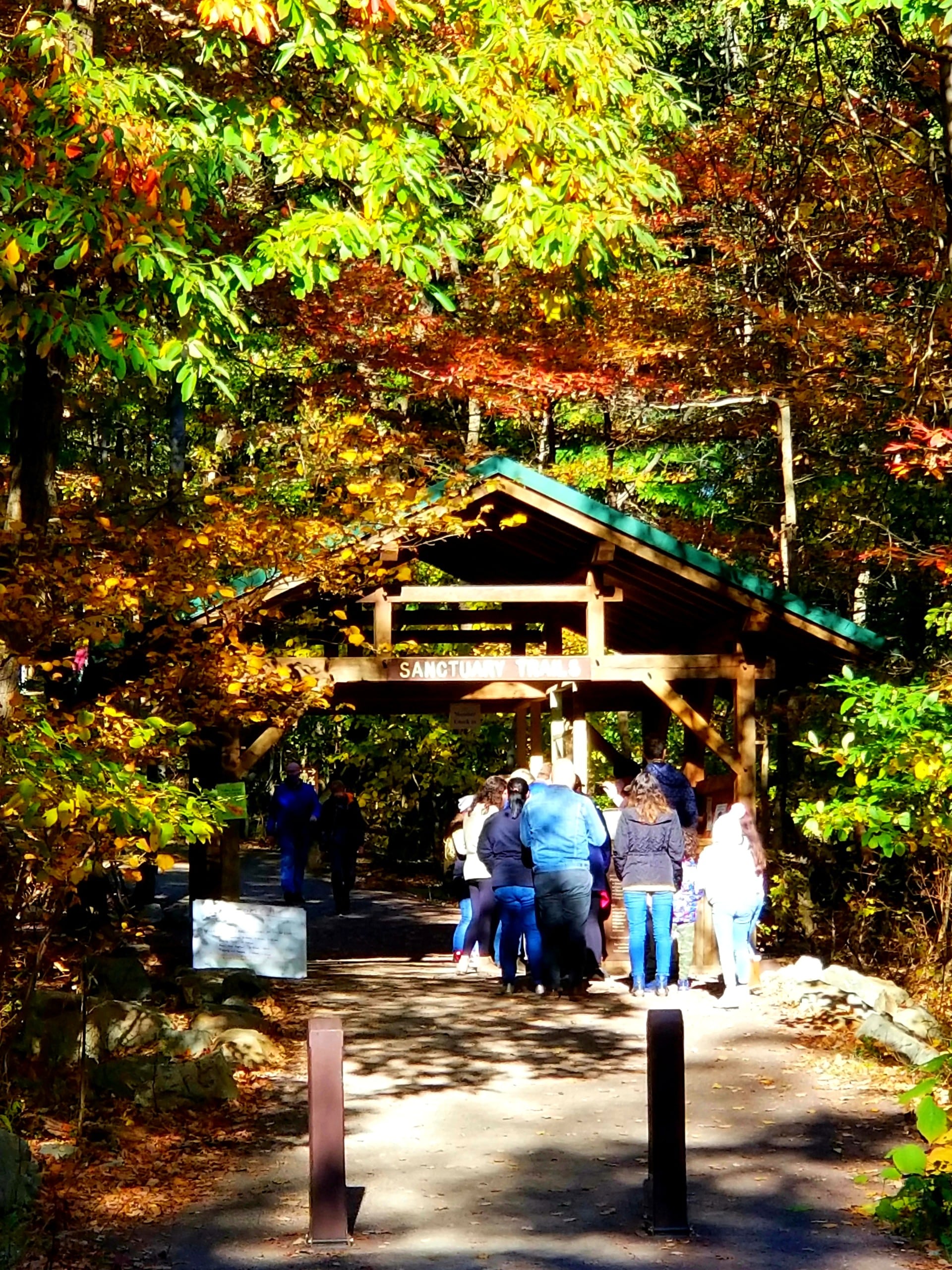 Hawk Mountain