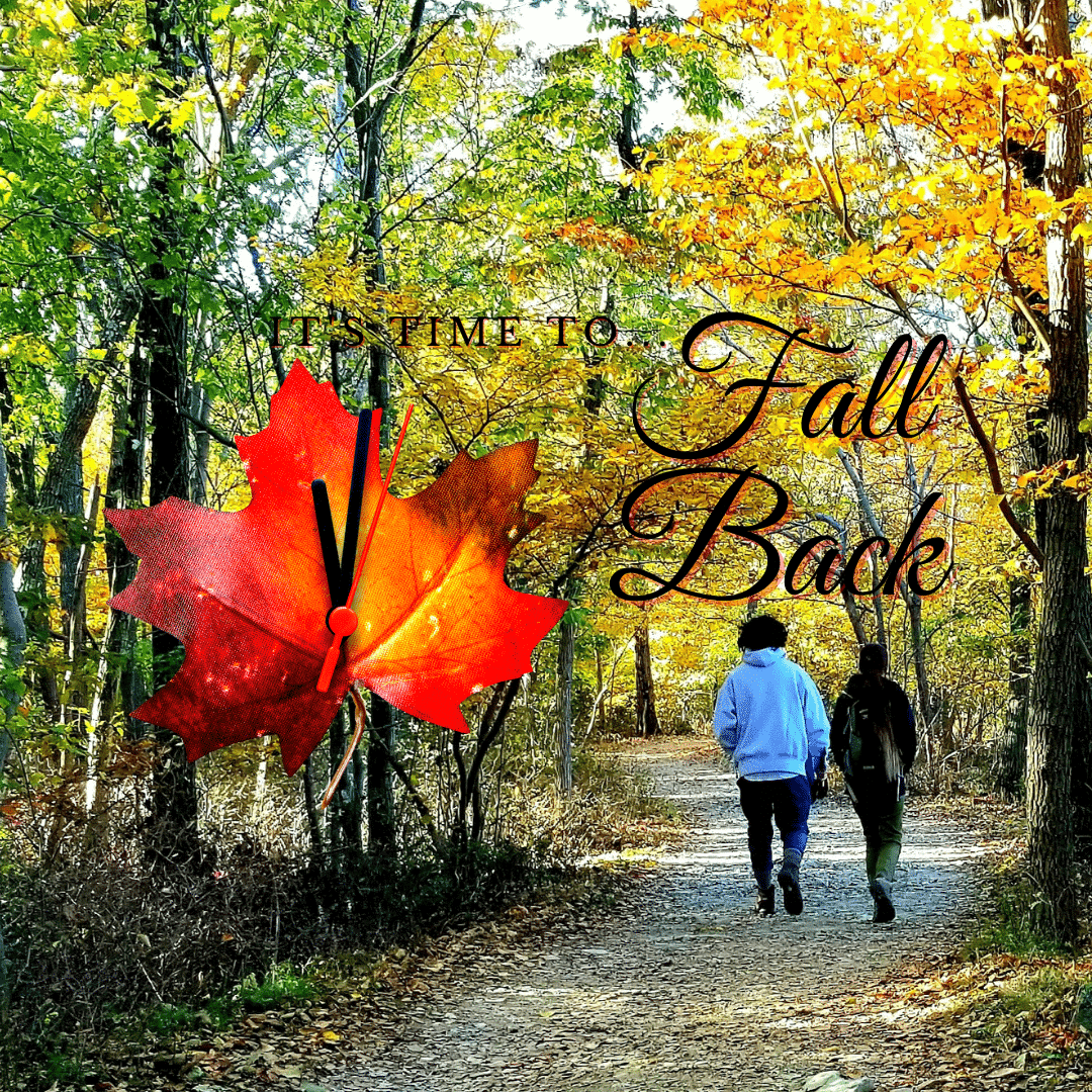 Fall Back Clocks Change