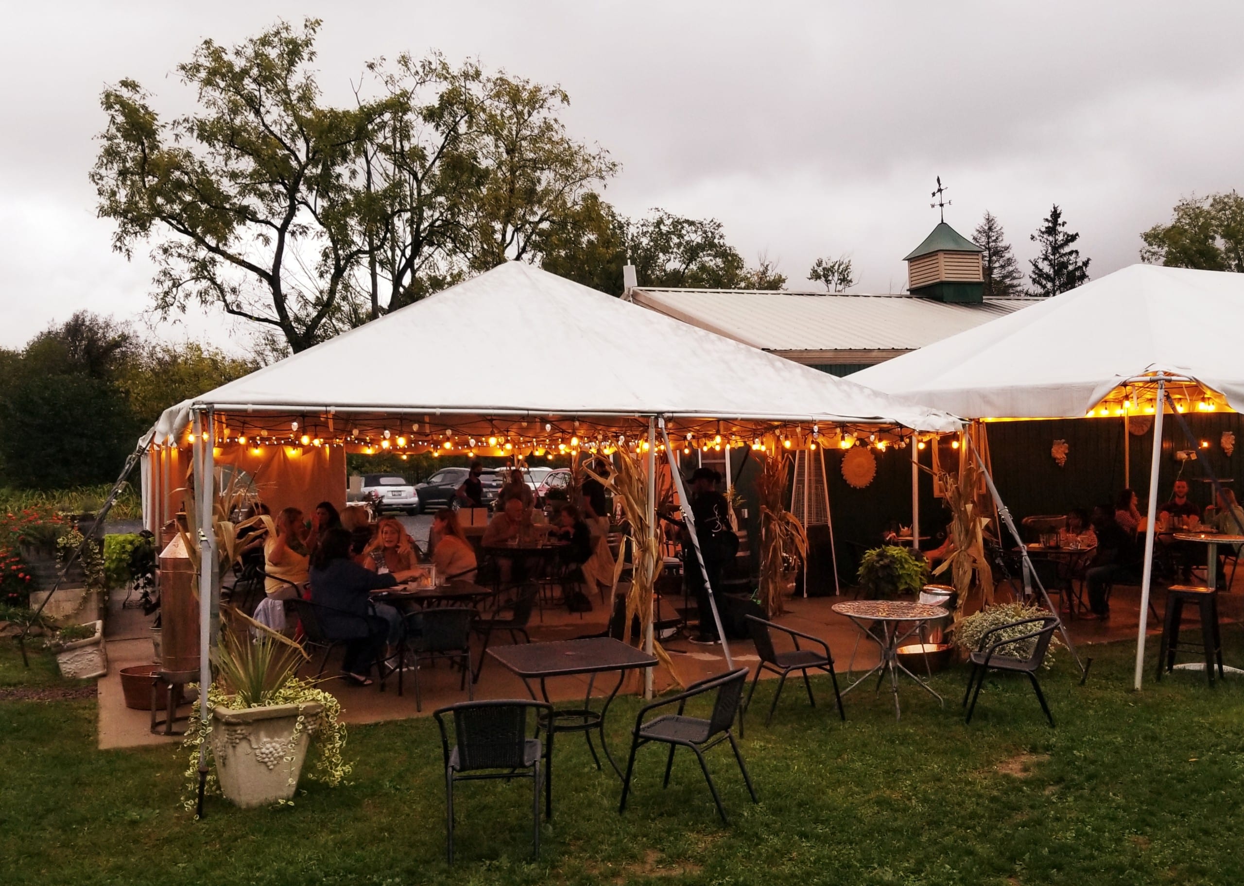 Food Wine Pairing