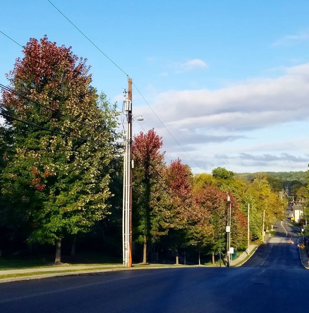 Fall Leaves