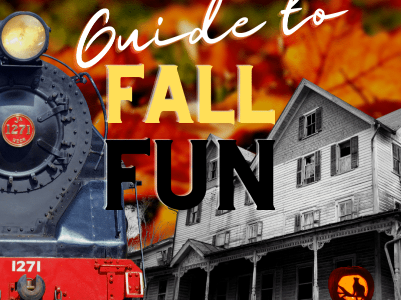 Fall fun