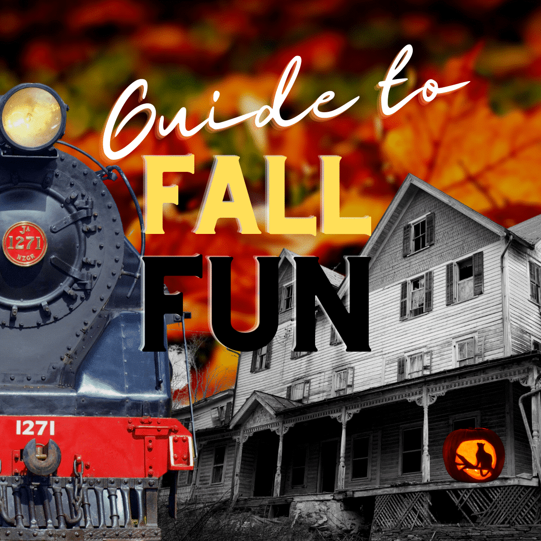 Fall fun