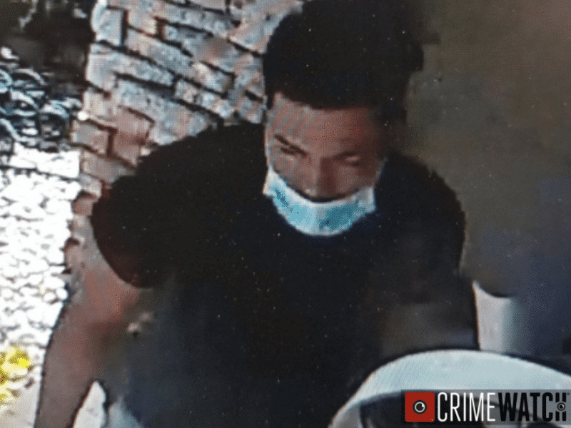 Porch Pirate 1