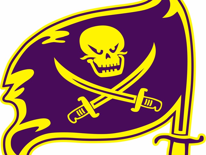 Palisades Pirate Flag