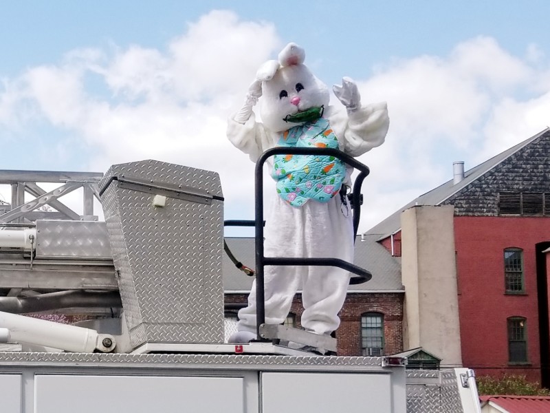 Easter Bunny