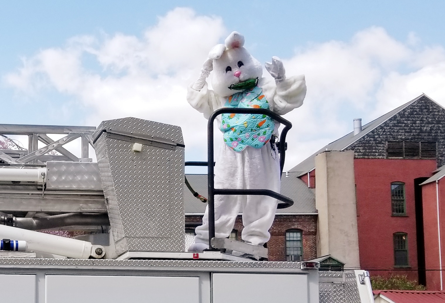 Easter Bunny