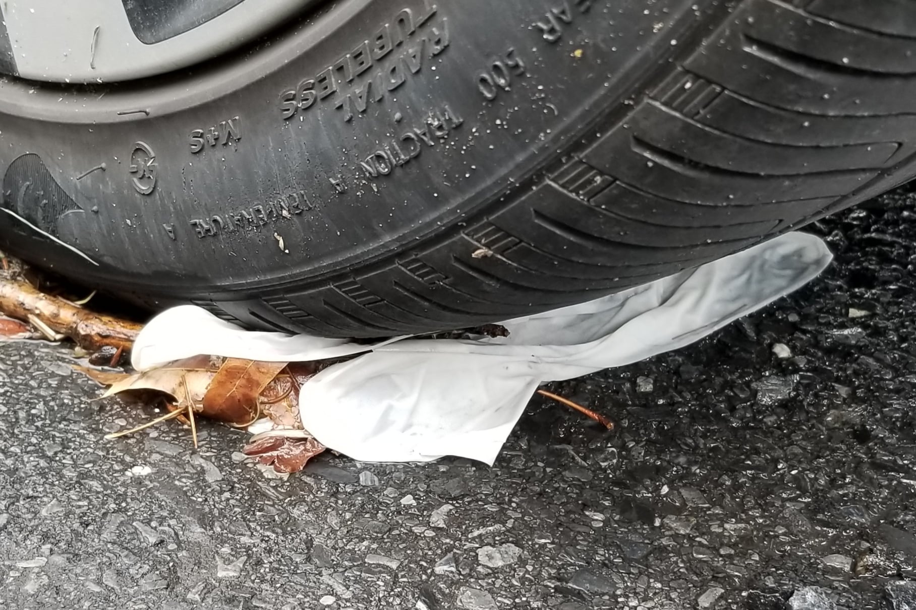 Litter Littering