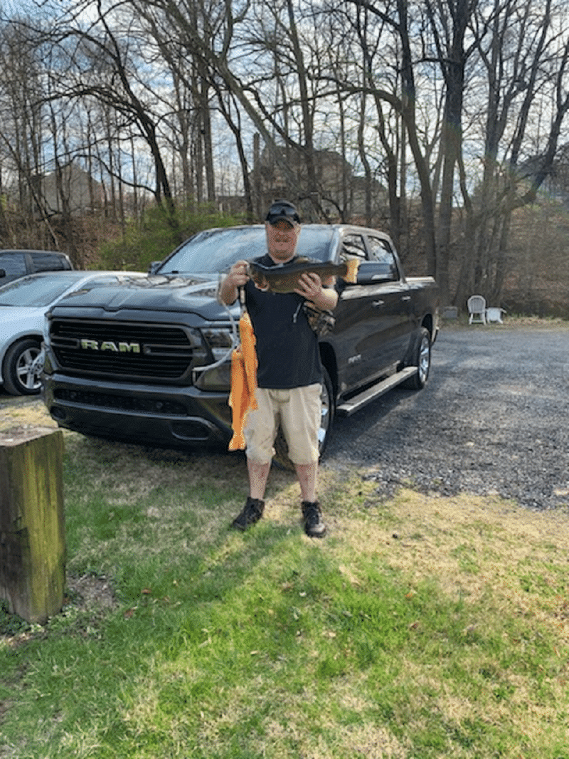 Trout