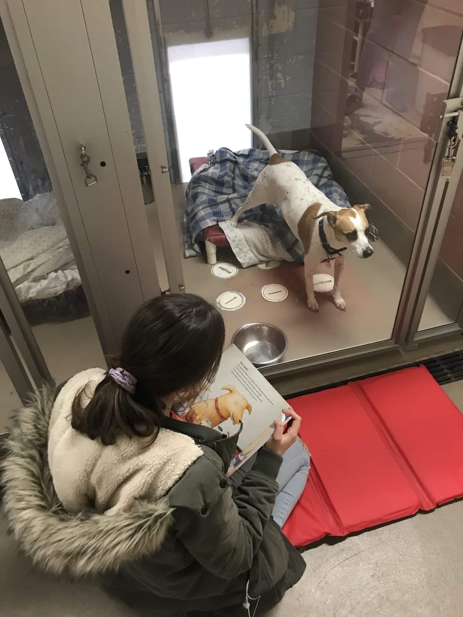Reading Program Animal
