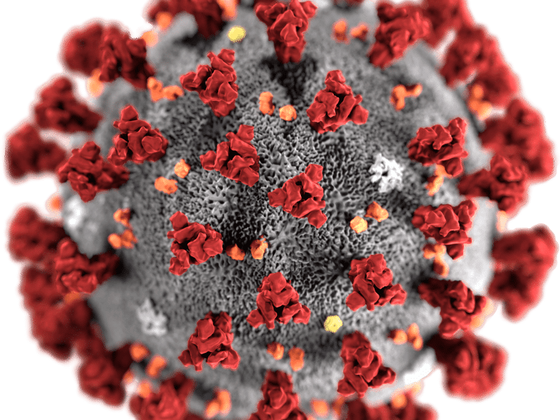 Coronavirus COVID-19 Cases