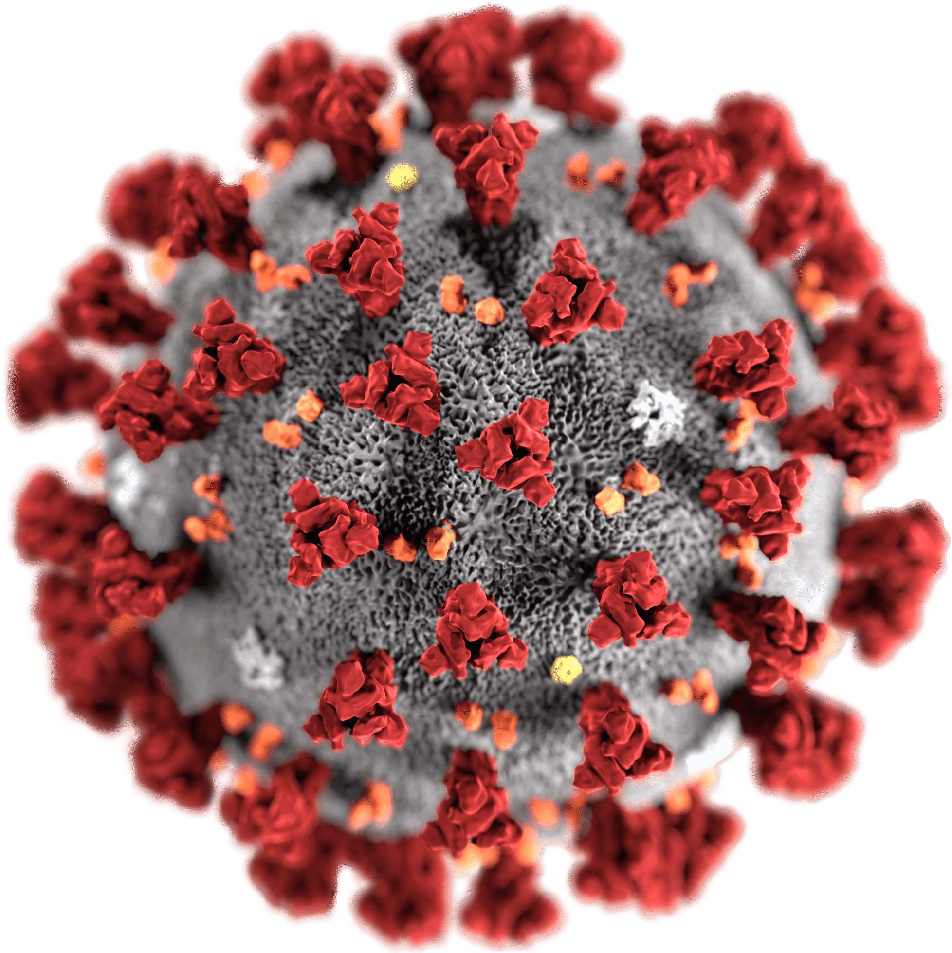 Coronavirus