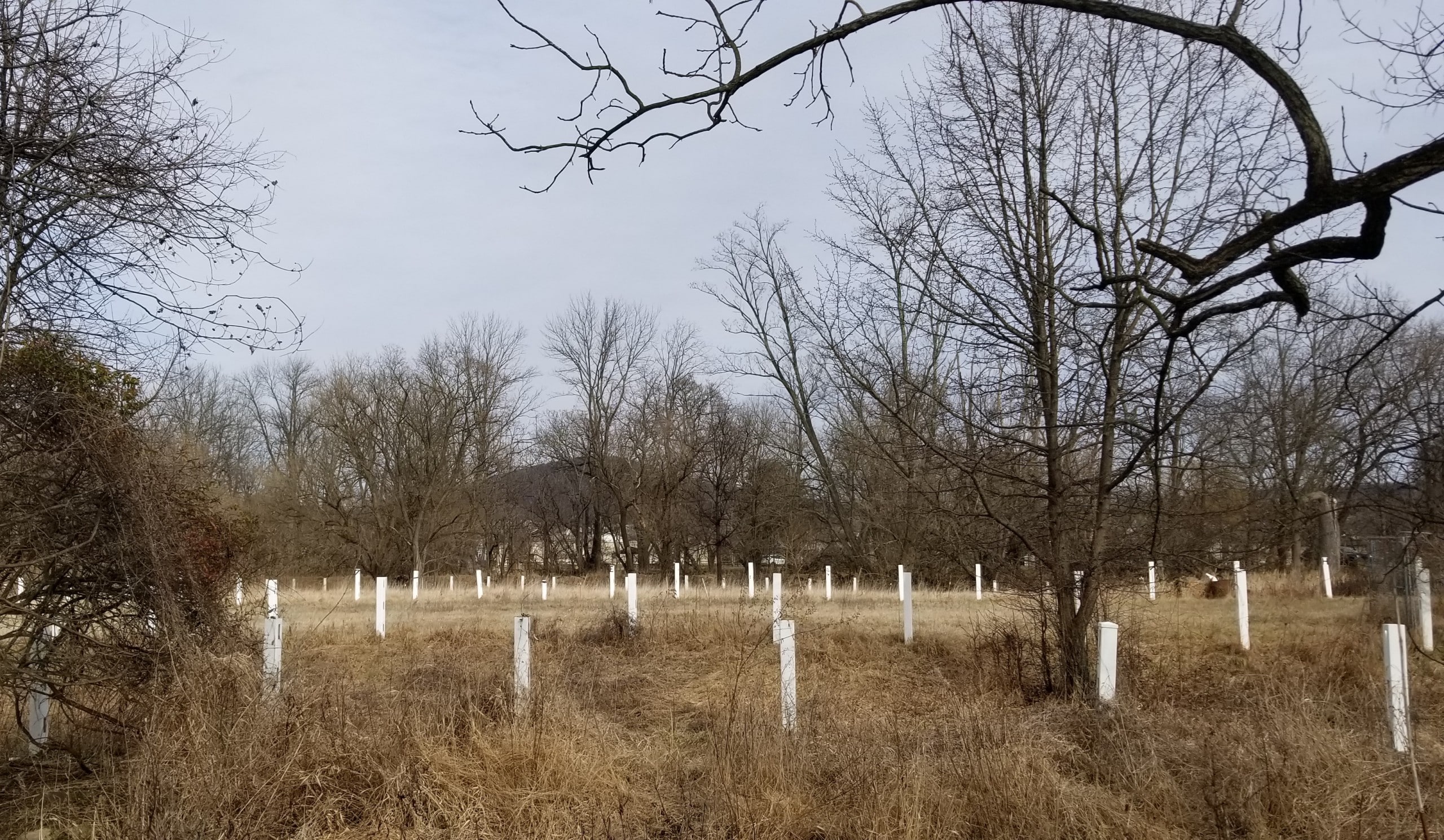 Creek Road Rezoning