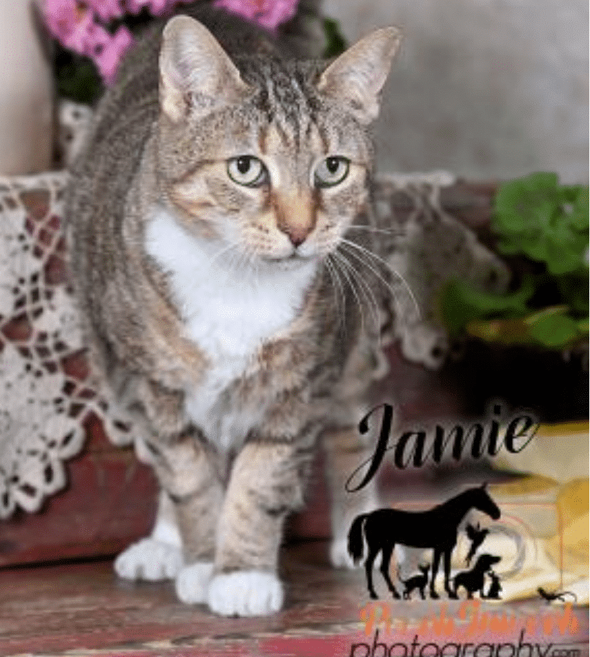 Jamie