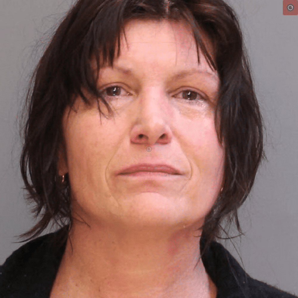 Nancy Marie Sowers DUI