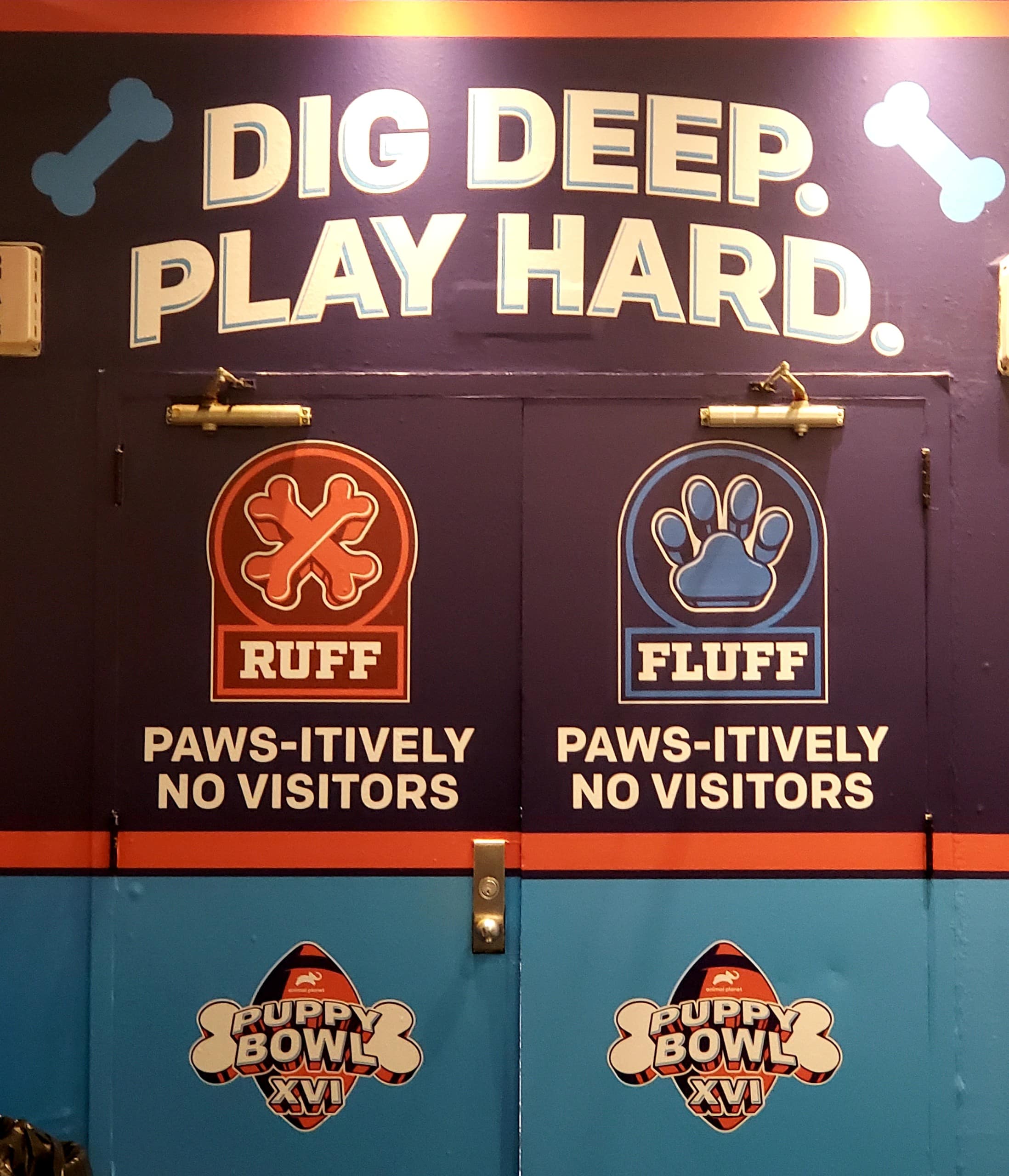 Puppy Bowl