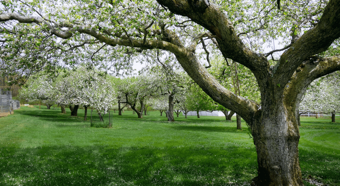 Fieldstone Farm 15