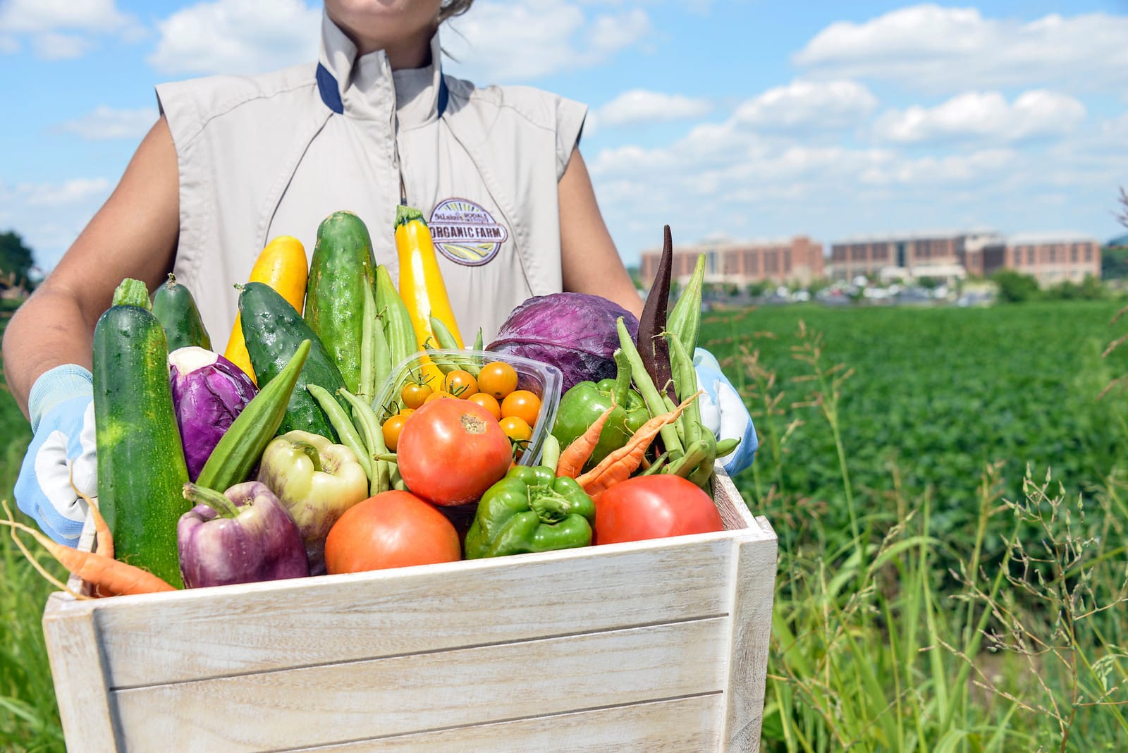 Farm Healthy Food Pledge