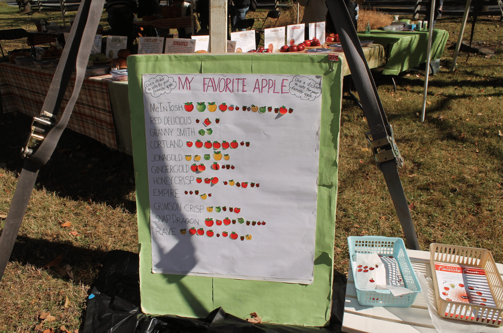 Apple Fest 10
