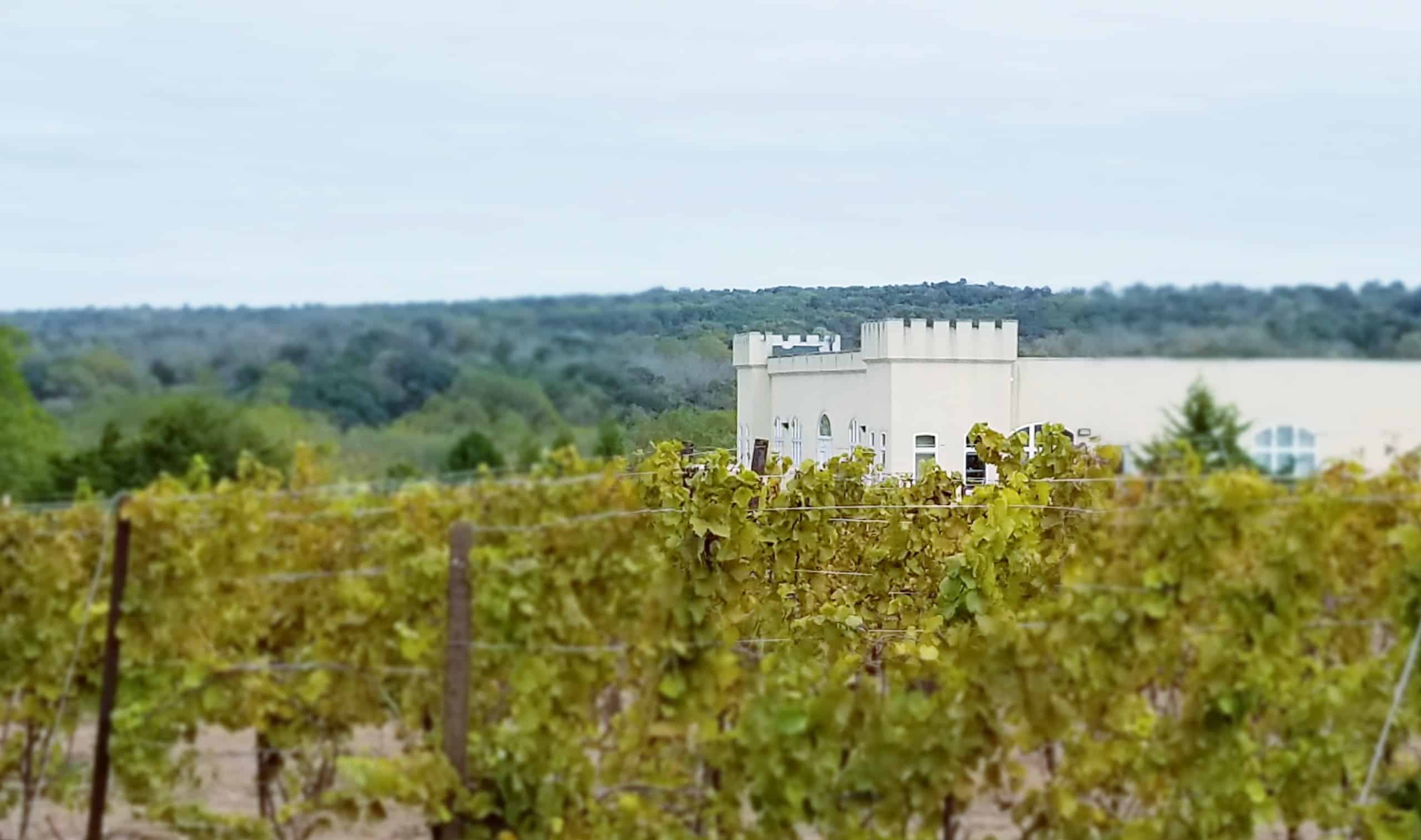 Sand Castle Winery Resort