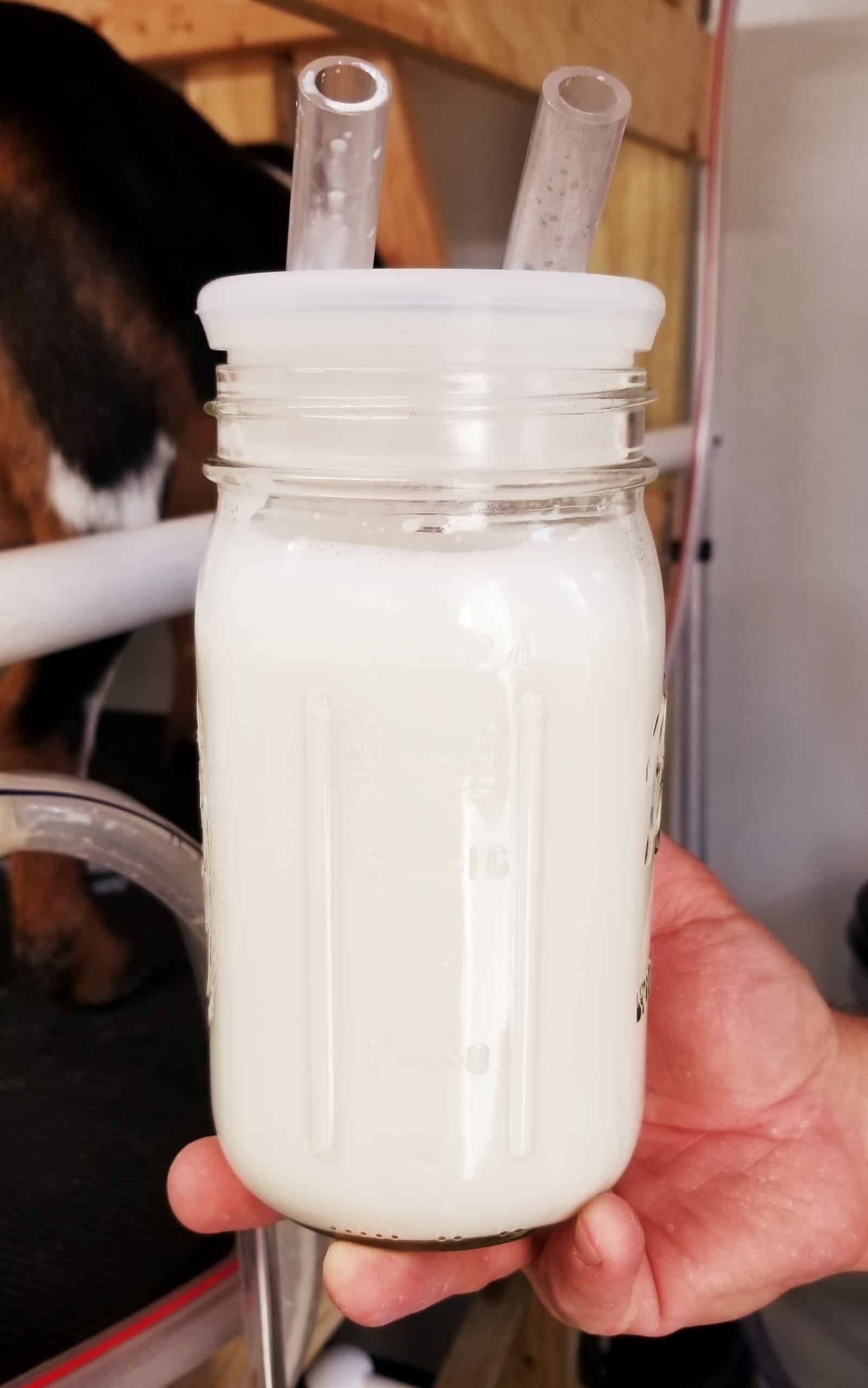 Goat's Milk Soap