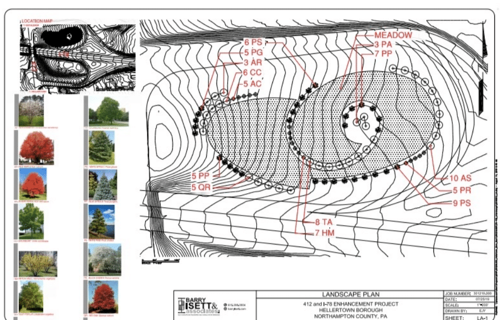 Tree Plan
